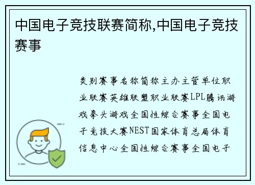 中国电子竞技联赛简称,中国电子竞技赛事